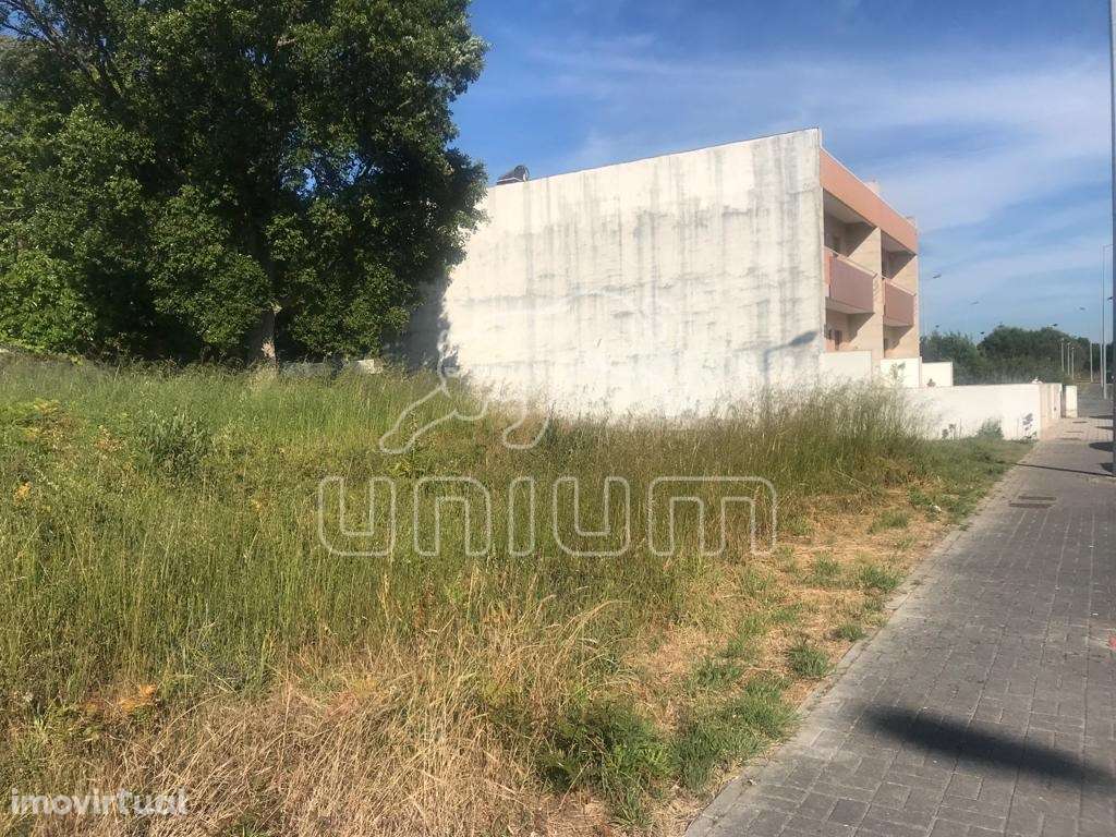 Terreno Vila Nova de Anha - Grande imagem: 3/5