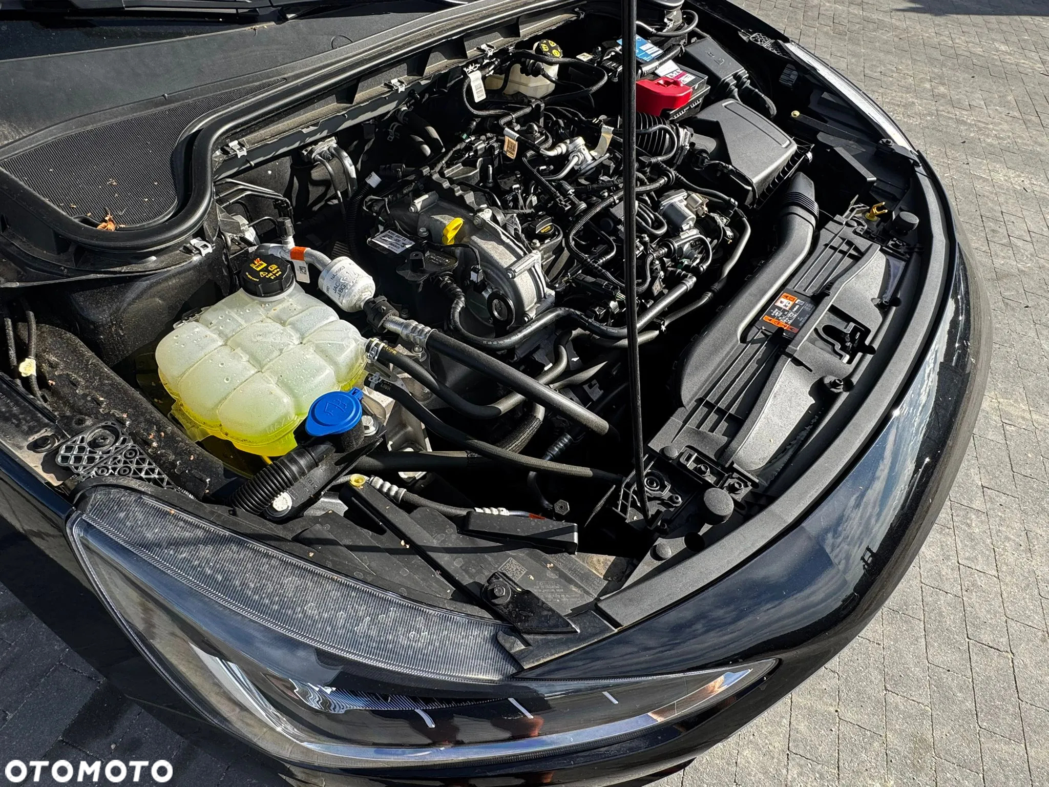Ford Focus Turnier 1.0 EcoBoost Start-Stopp-System TITANIUM - 18
