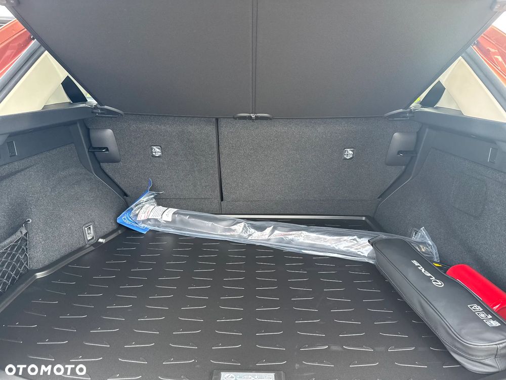 Lexus NX - 19