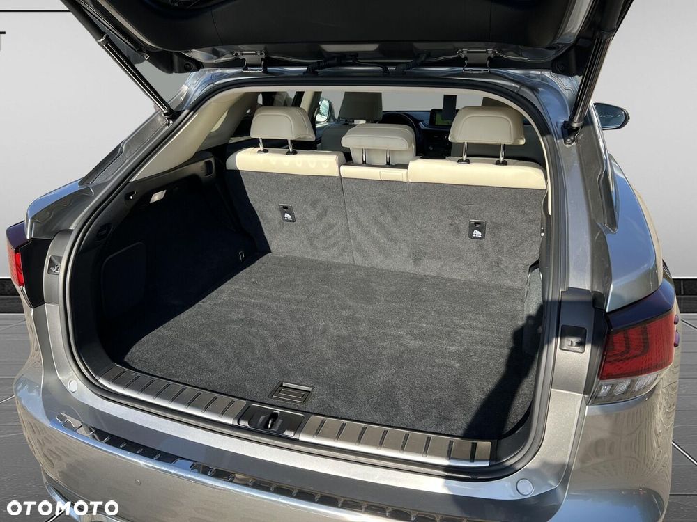 Lexus RX 450h F-Impression - 21