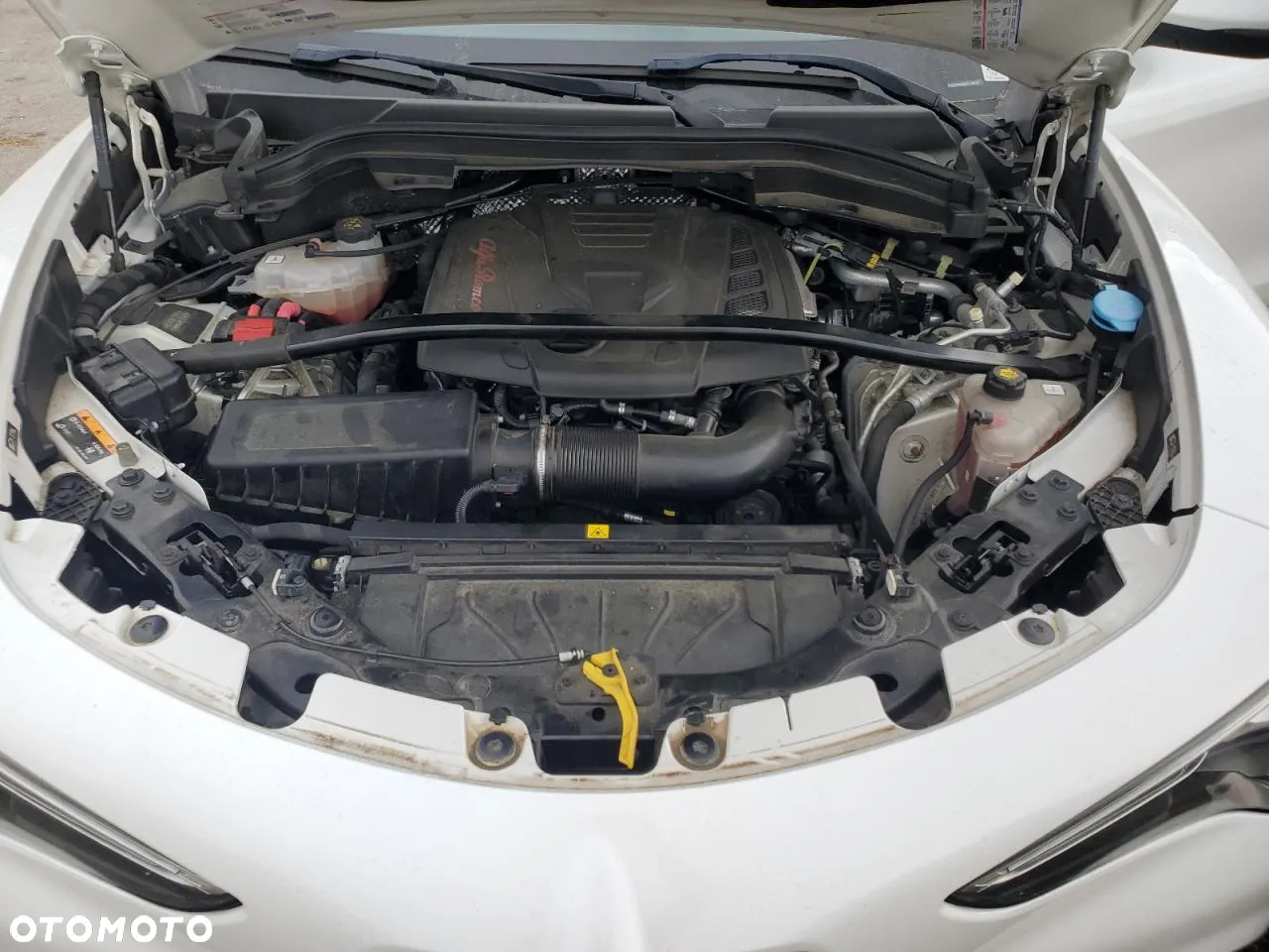Alfa Romeo Stelvio 2.0 Turbo 16V AT8-Q4 Veloce Ti - 12