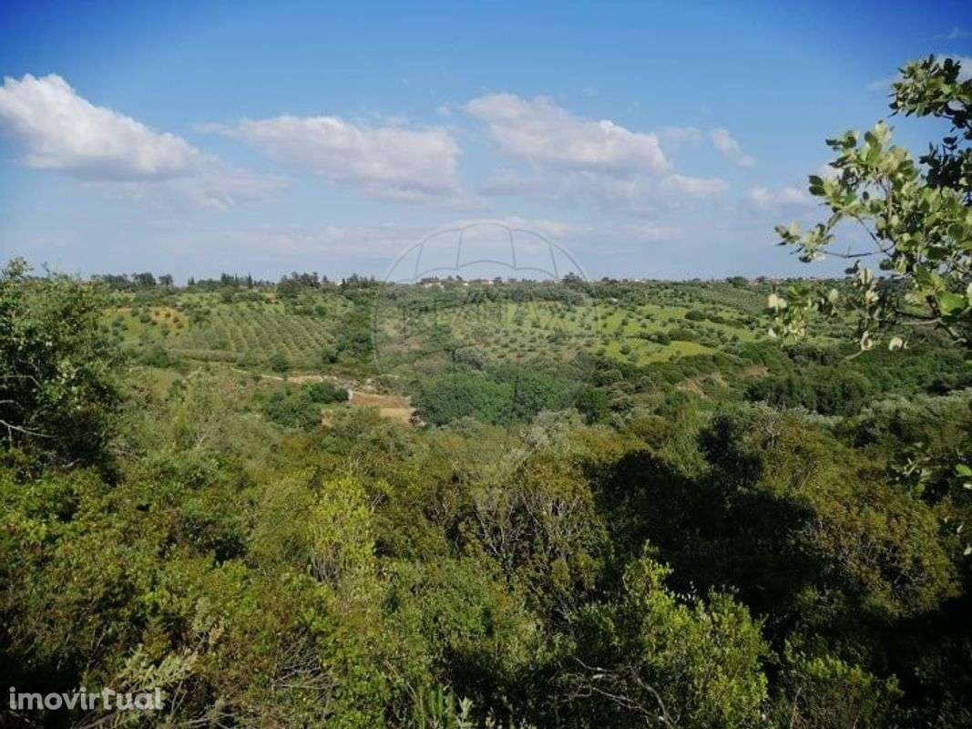 Terreno  para venda - Grande imagem: 3/5