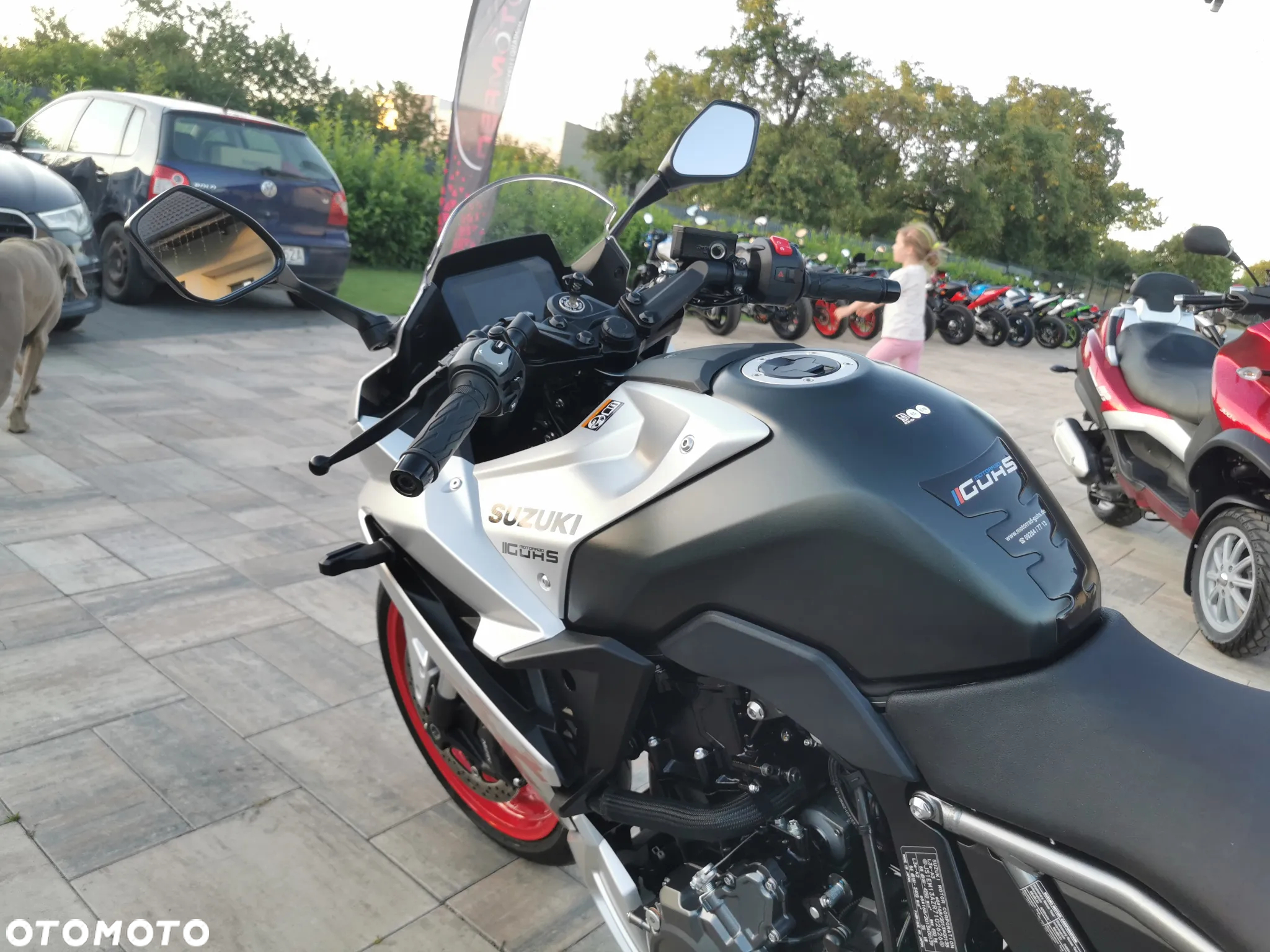 Suzuki GSX - 19