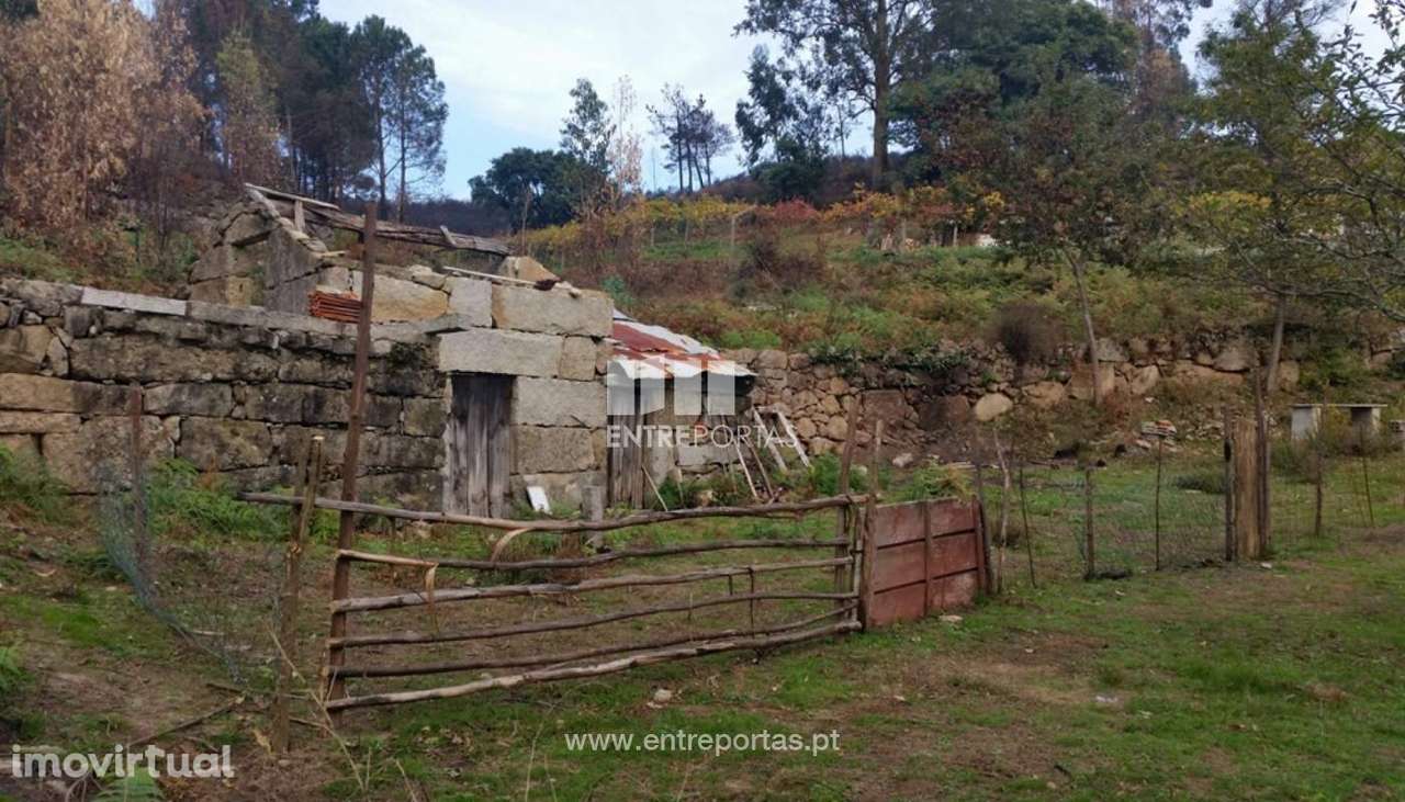 Venda Quinta, Penhalonga, Marco de Canaveses - Grande imagem: 4/13