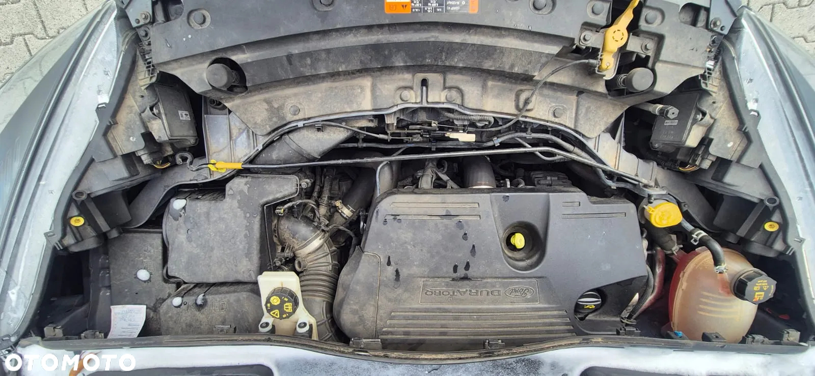 Ford Kuga 2.0 TDCi AWD ST-Line - 14