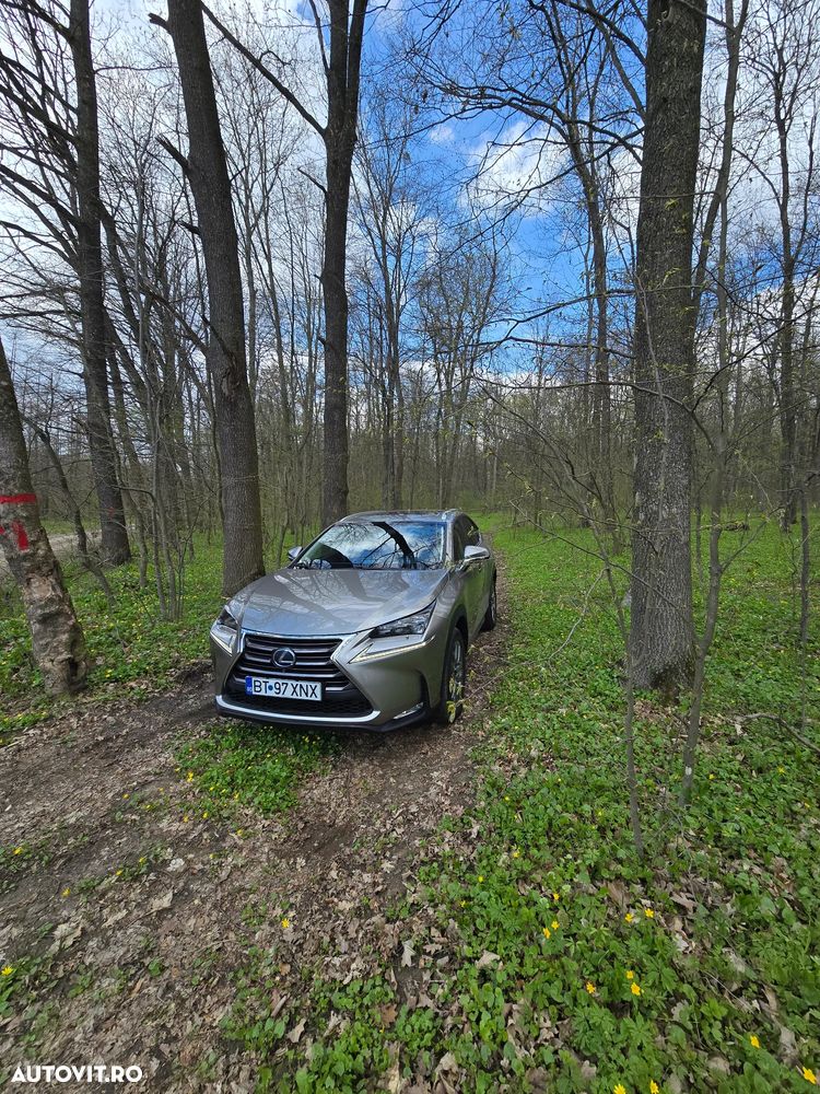 Lexus Seria NX 200t AWD Luxury - 15