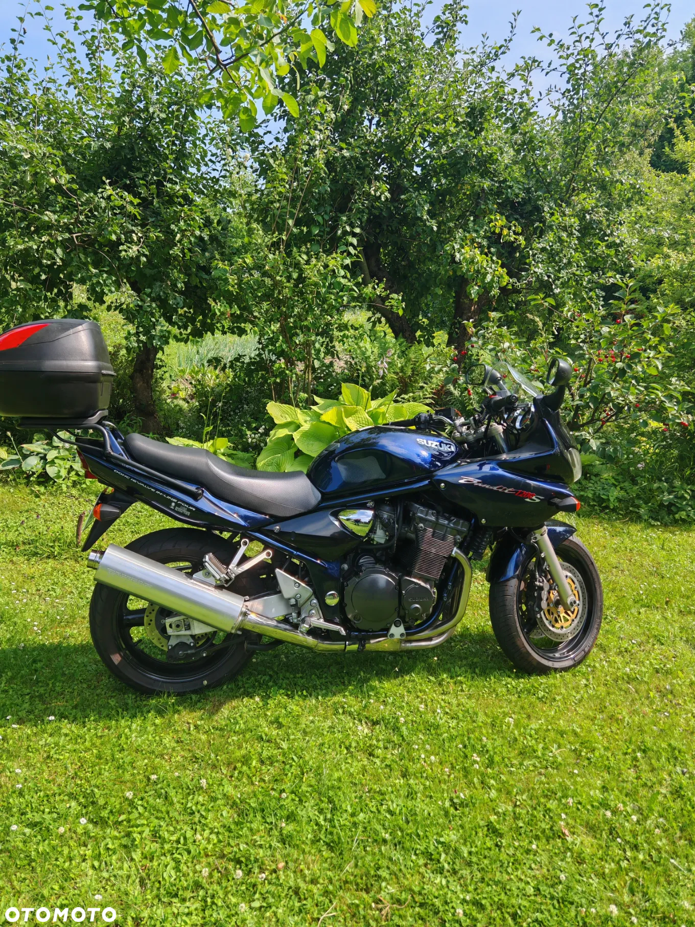Suzuki Bandit - 2