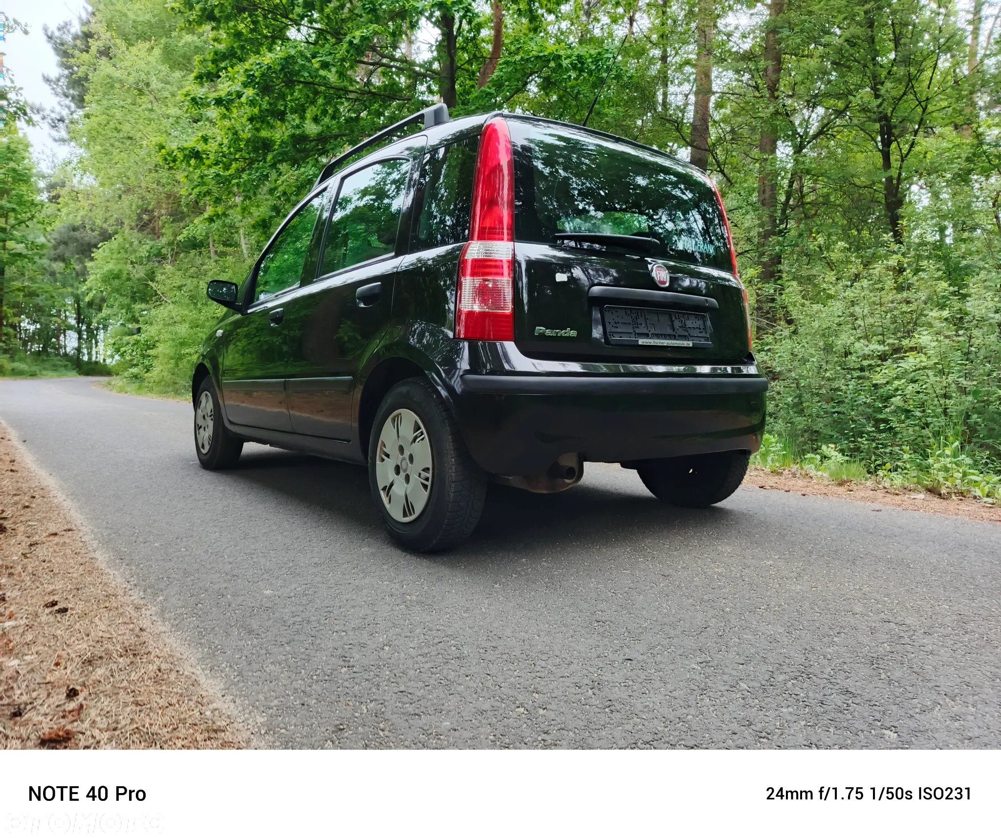 Fiat Panda 1.2 Dynamic Plus - 10