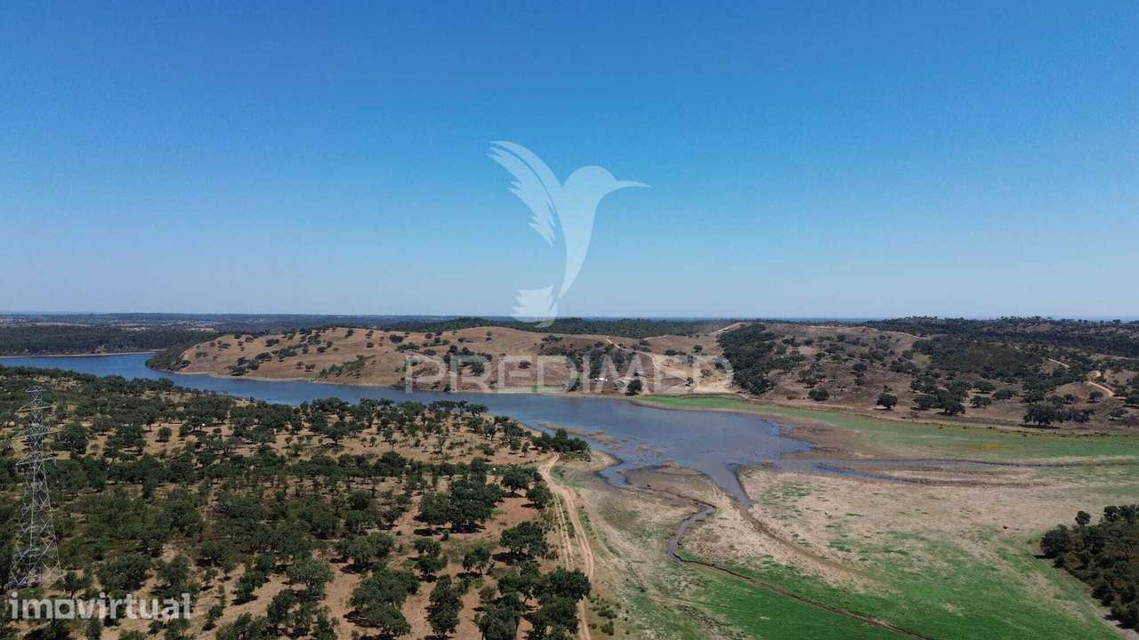 Propriedade de 43,5 Hectares junto à Barragem de Campilhas | Santia... - Grande imagem: 3/6