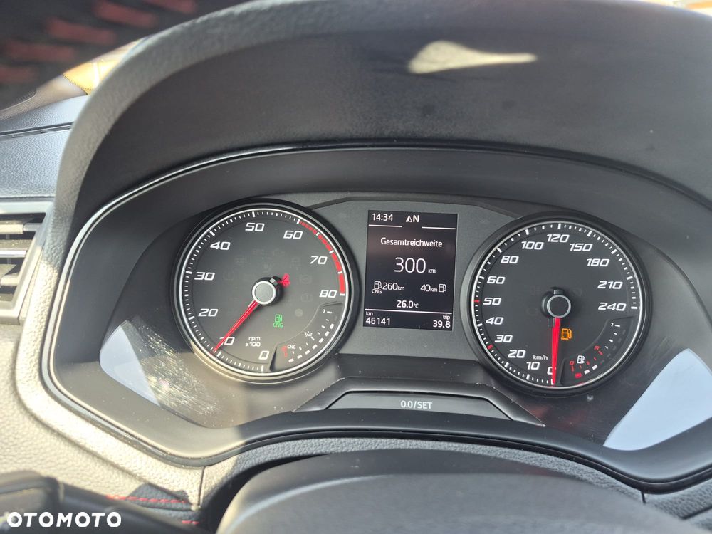 Seat Ibiza - 18