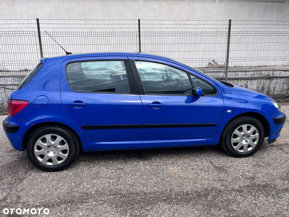 Peugeot 307 90 Grand Filou Cool - 7