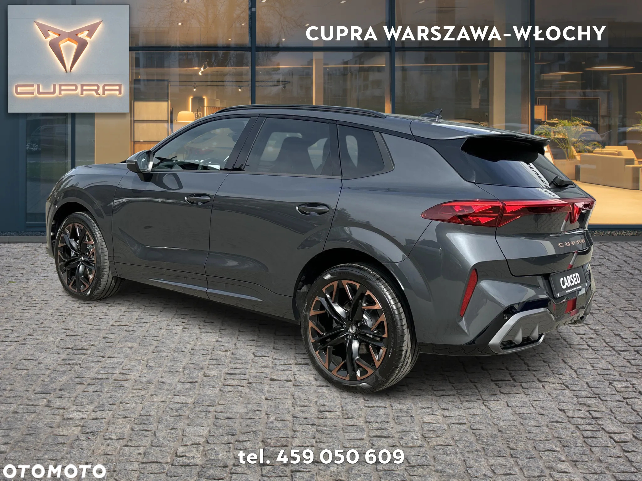 Cupra Terramar 2.0 TSI 4Drive DSG - 3
