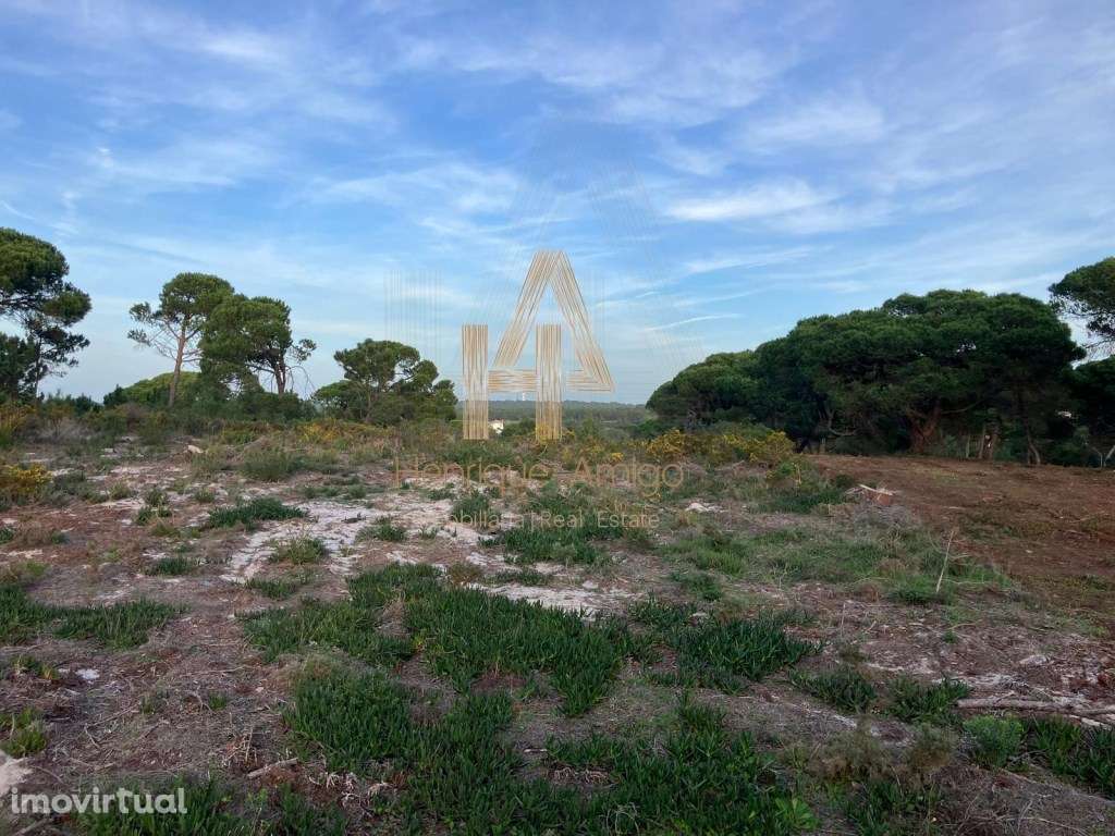 Terreno Rústico em Aldeia do Meco - Grande imagem: 5/7