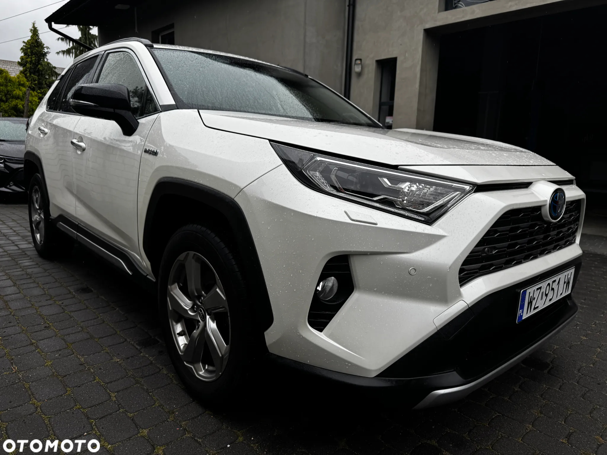 Toyota RAV4 2.5 Hybrid Executive 4x4 - 5