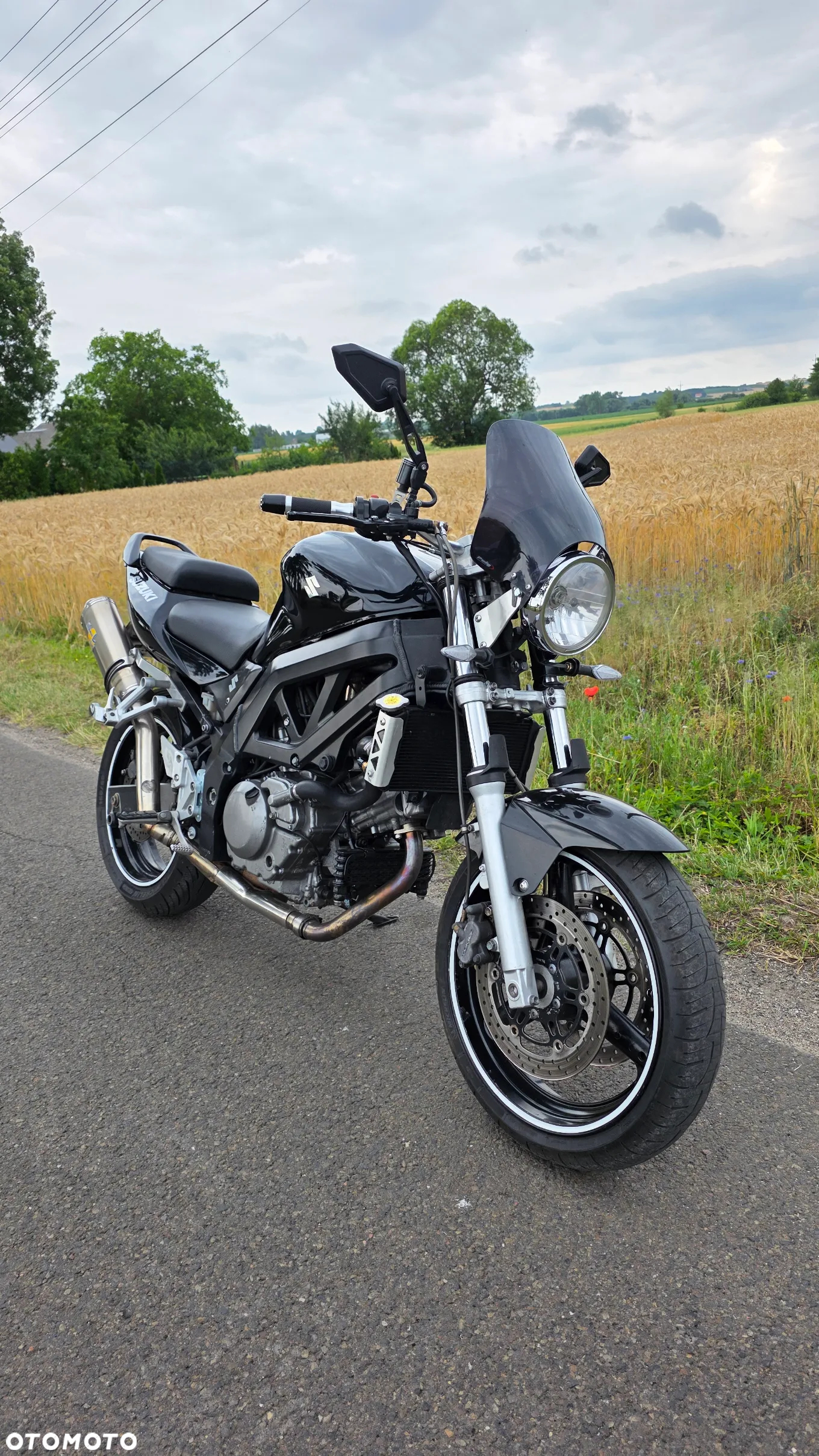 Suzuki SV - 4
