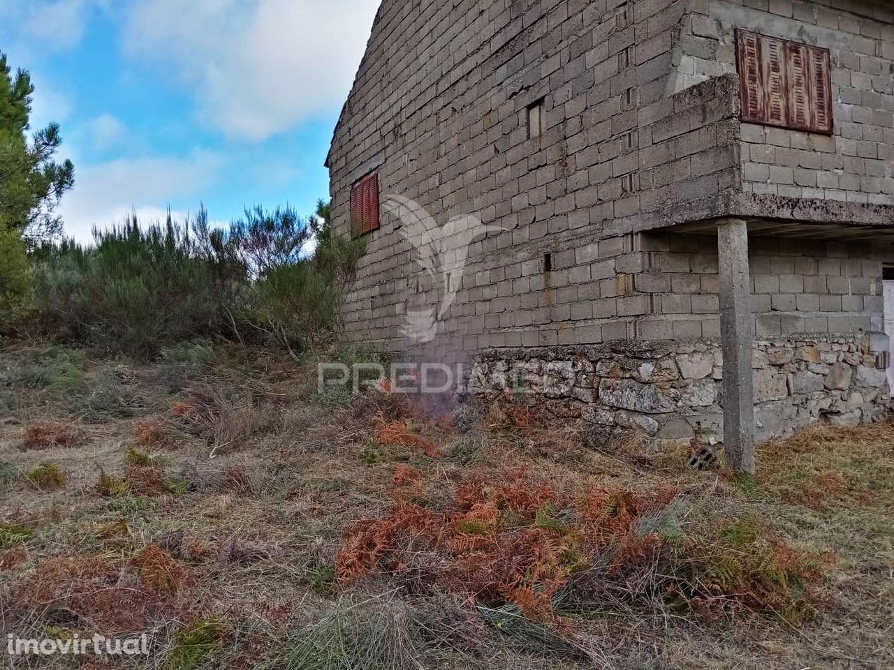 Quintinha em Alijó - Parque Natural do Vale do Tua - Grande imagem: 5/29