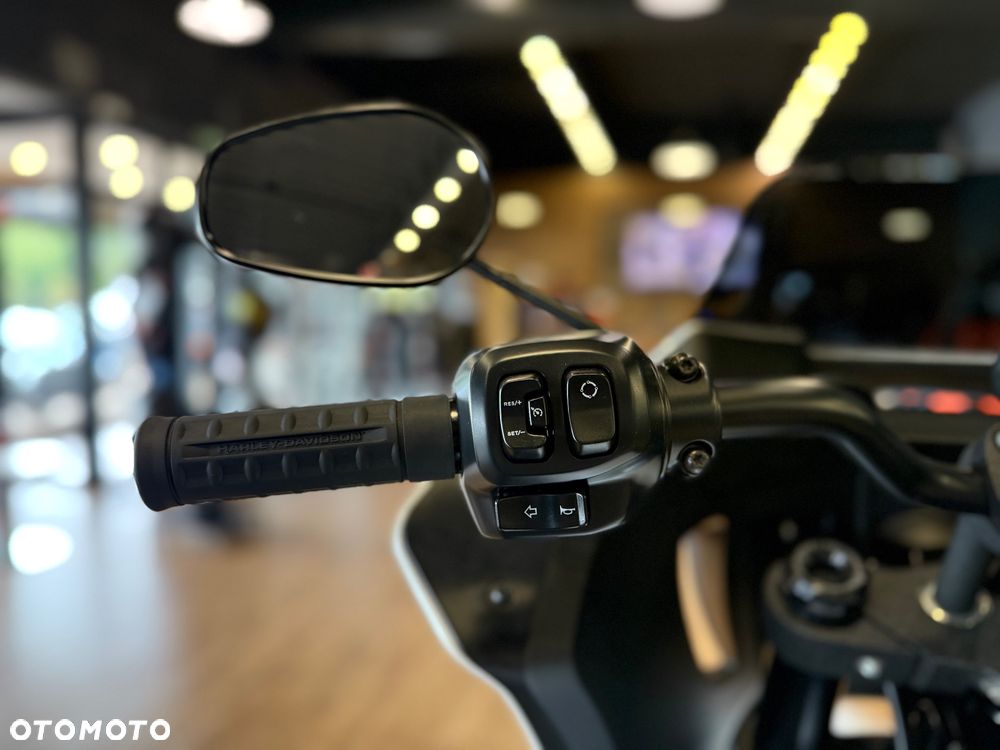 Harley-Davidson Softail Low Rider - 11