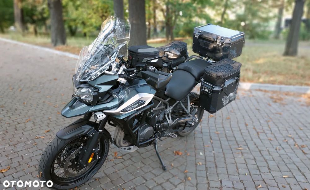 Triumph Tiger - 7