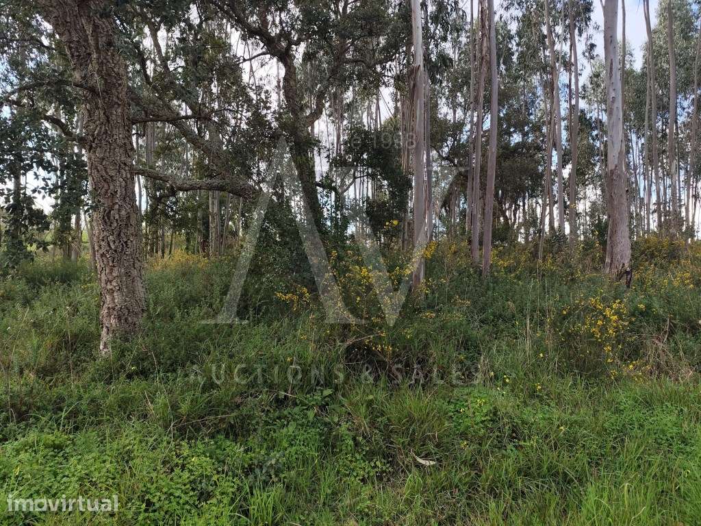 Terreno para construção com área de 2.541 m² - Parceiros, Leiria - Grande imagem: 3/5