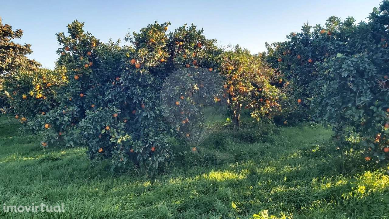 Terreno  para venda - Grande imagem: 3/7