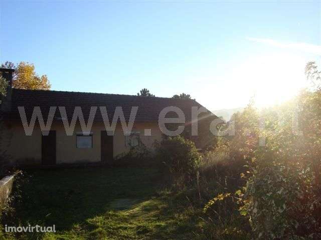 Herdade - Grande imagem: 2/20