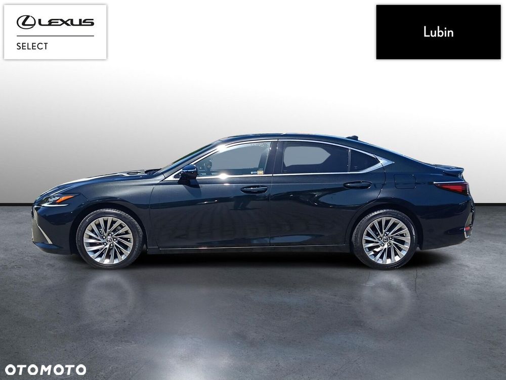 Lexus ES 300h Omotenashi - 3