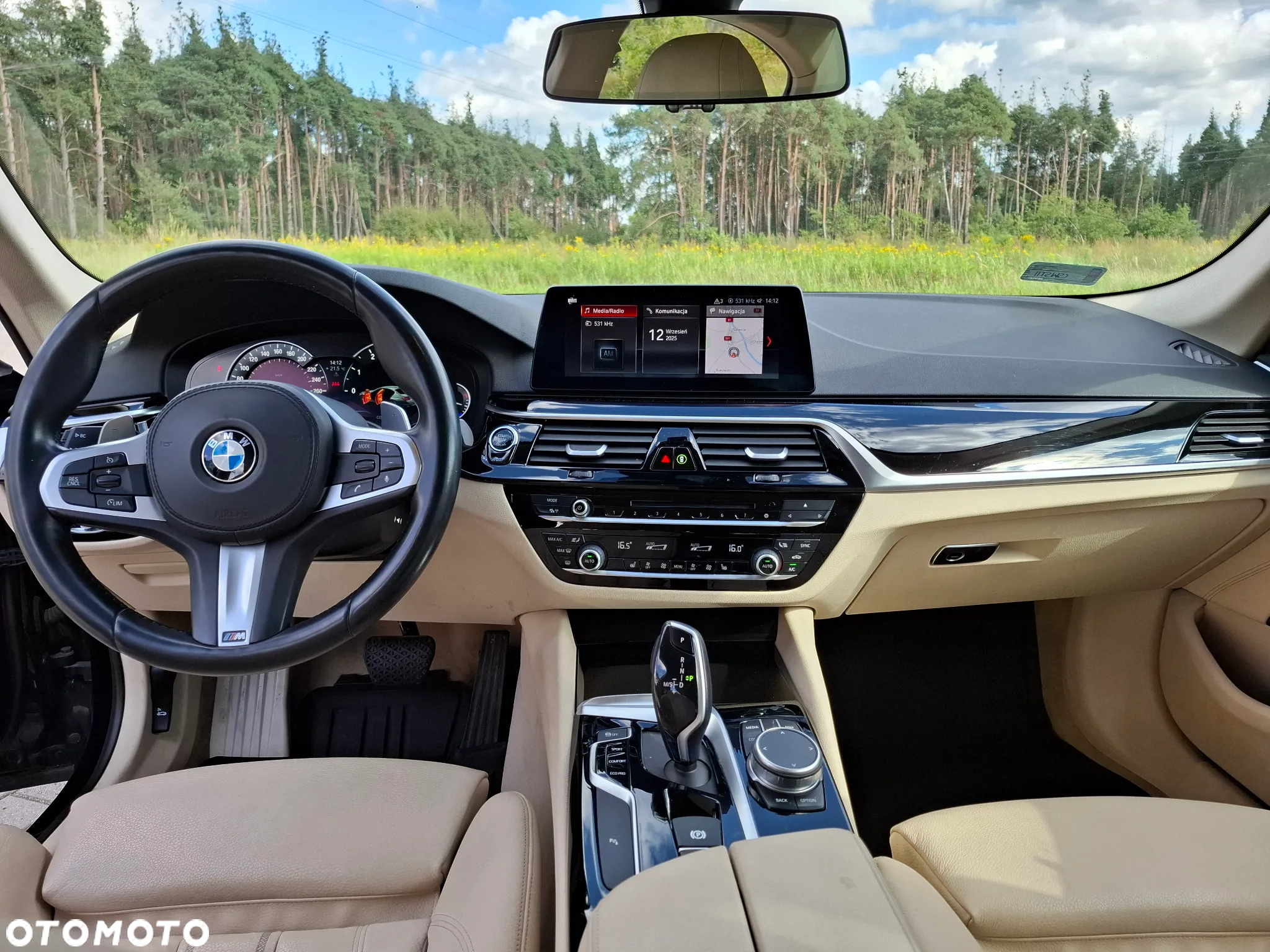 BMW Seria 5 530i xDrive - 10