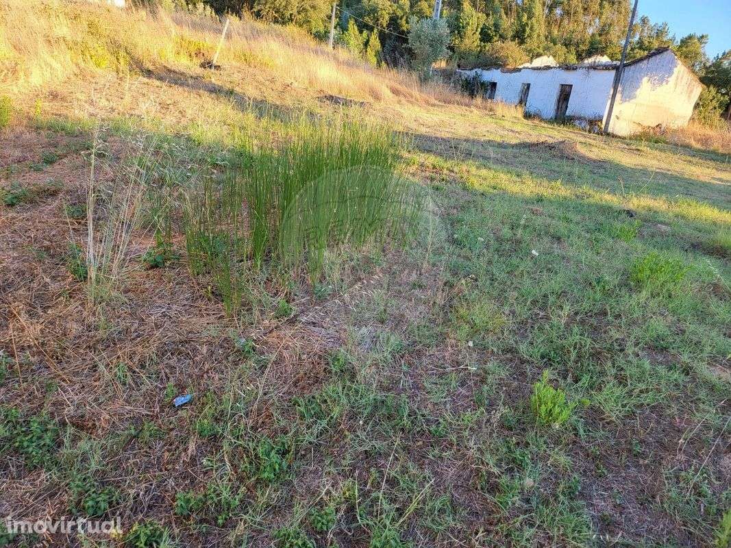 Terreno  para venda - Grande imagem: 3/5