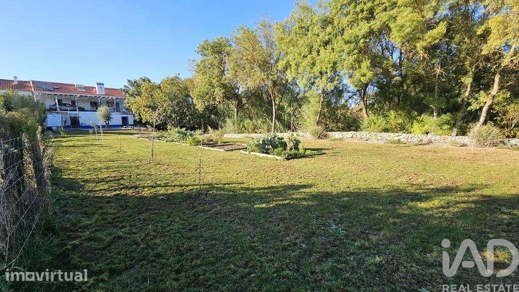 Quinta rural T2 em Ciborro de 60,3 m2