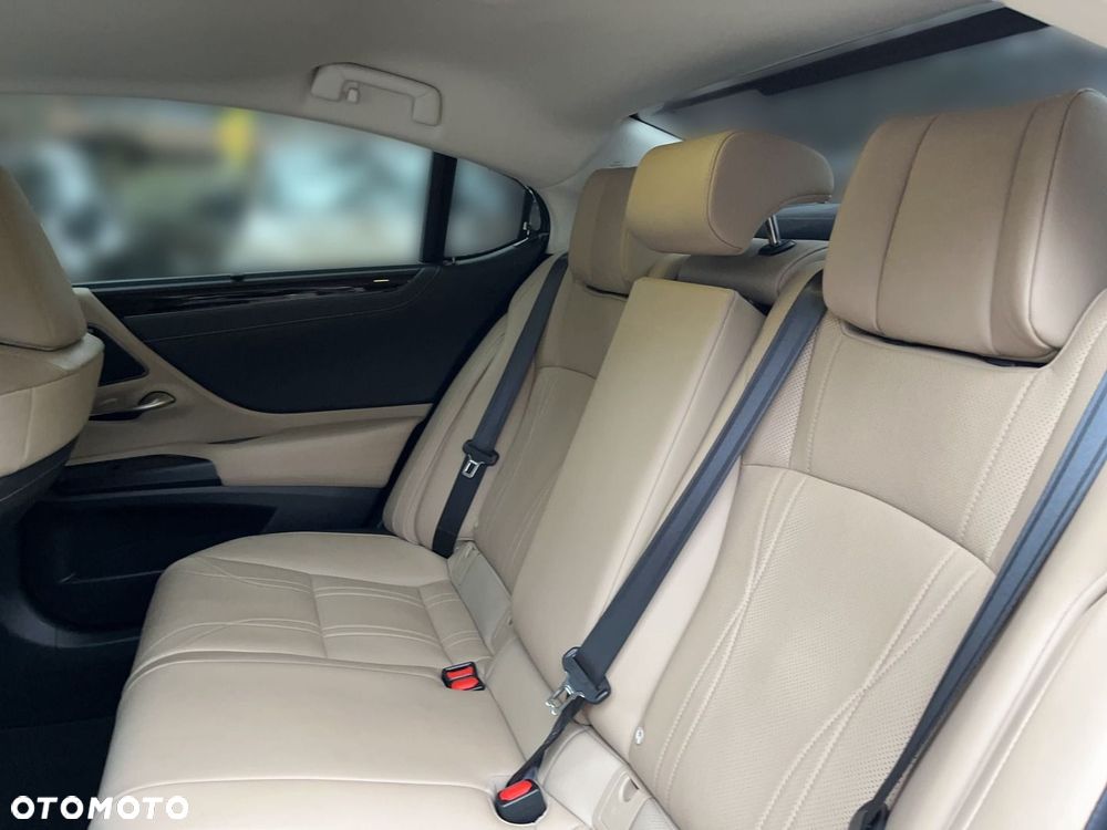 Lexus ES 300h Omotenashi - 6