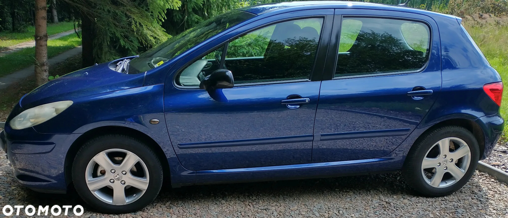 Peugeot 307 1.6 HDI Trendy - 3