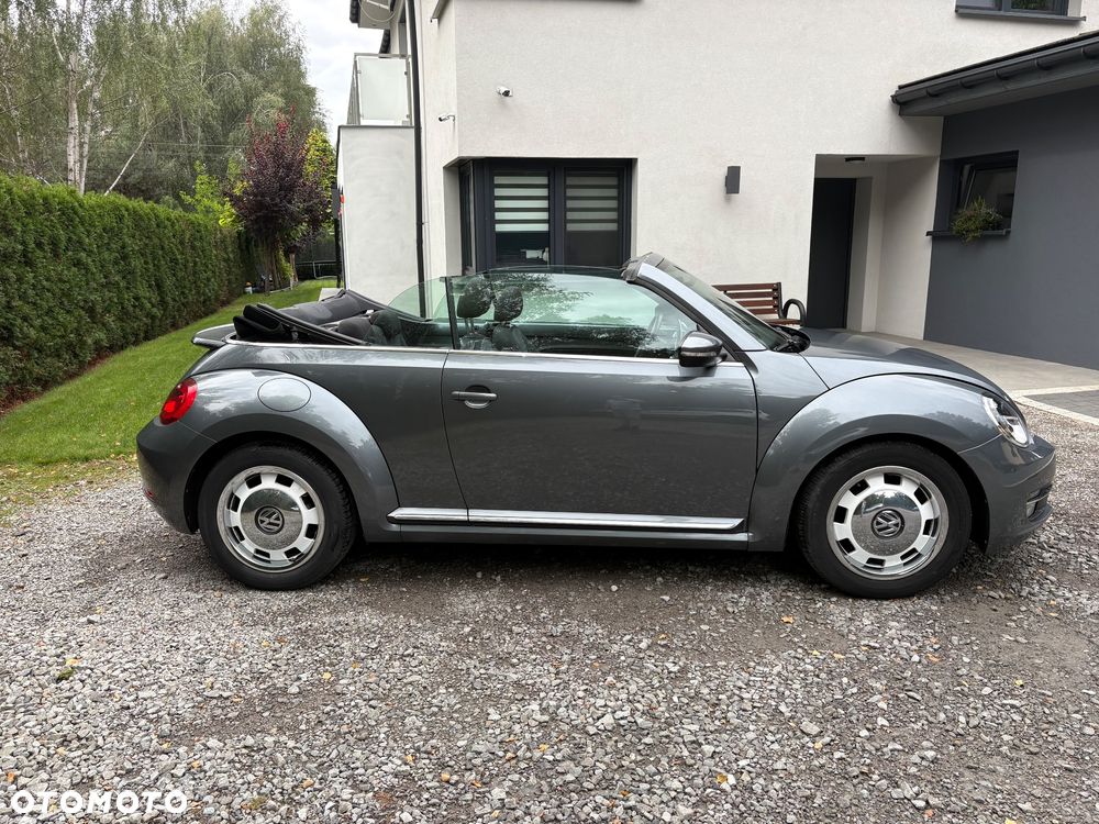 Volkswagen Beetle - 6