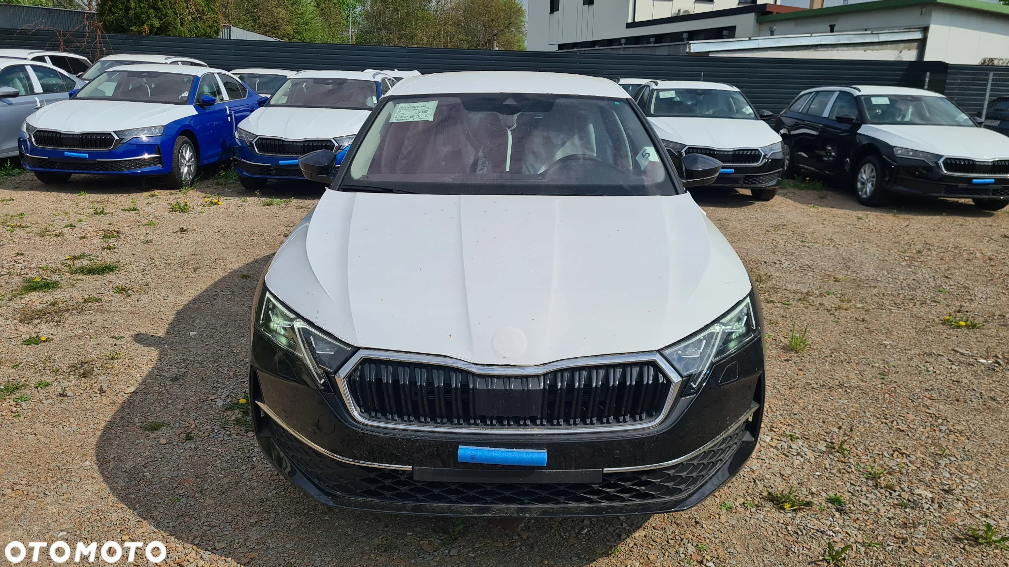 Skoda Octavia - 2