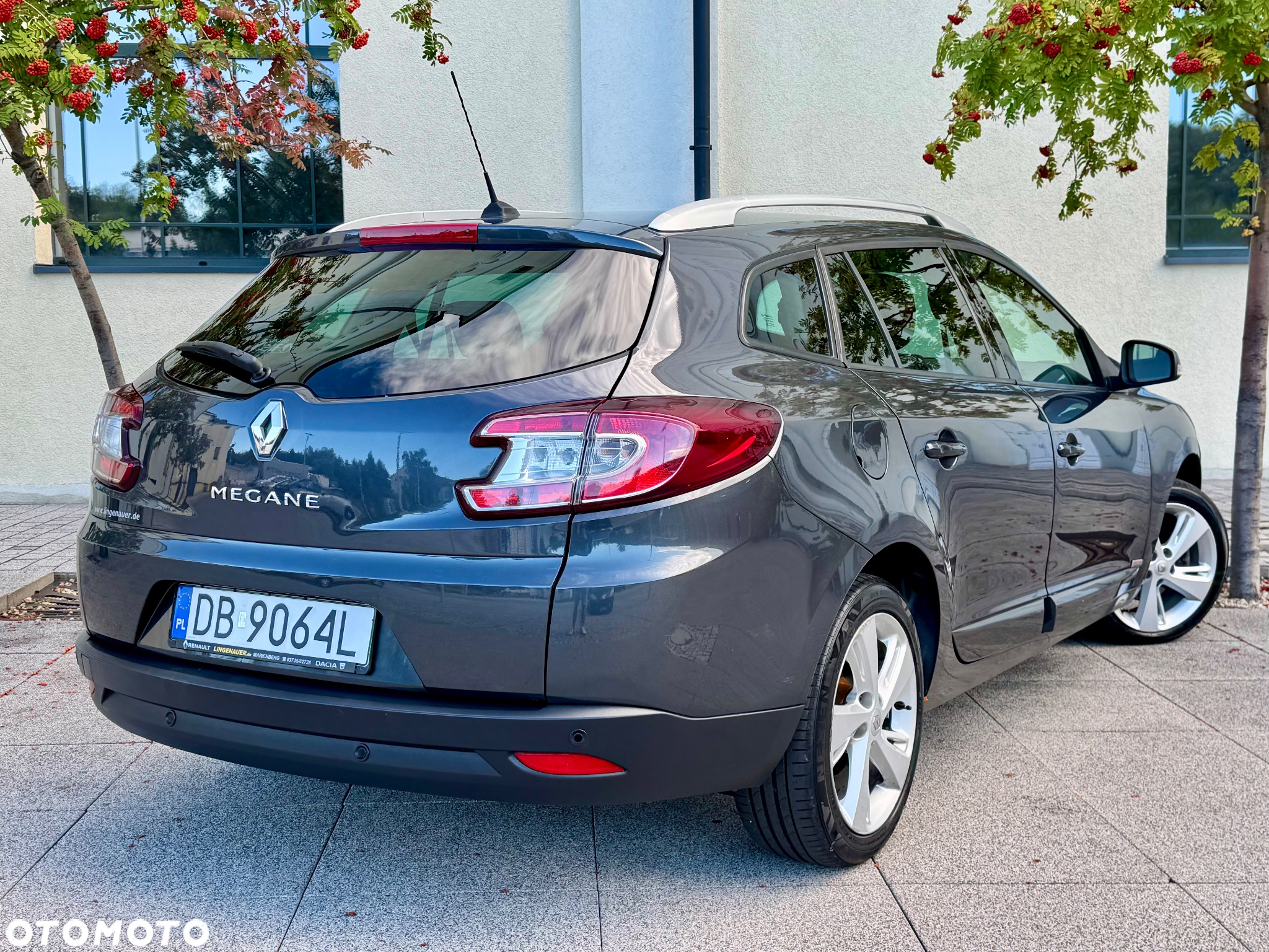 Renault Megane 1.6 16V Limited - 24
