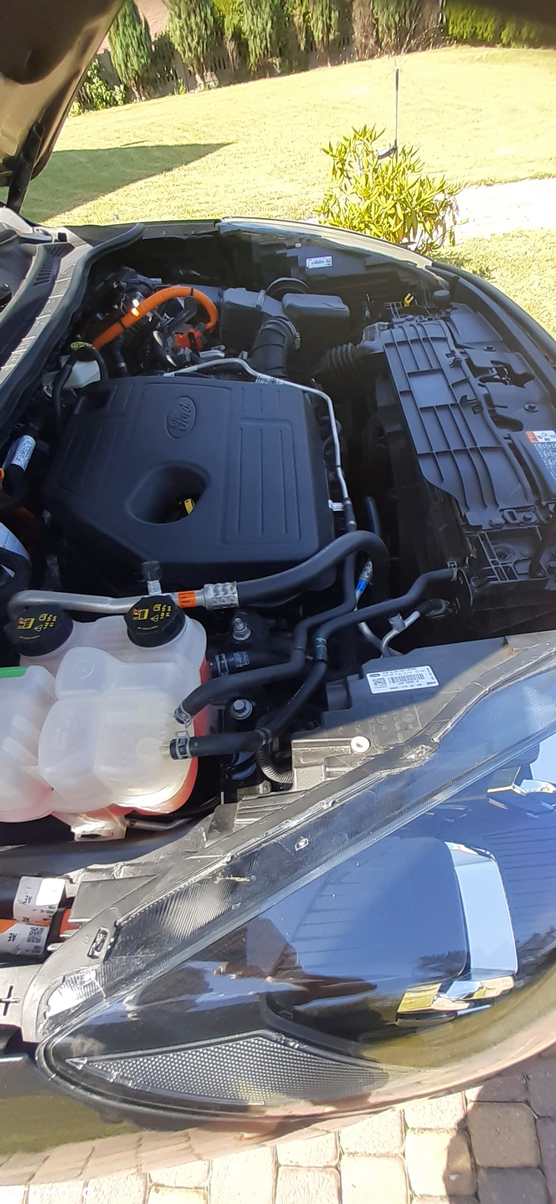Ford Escape - 10