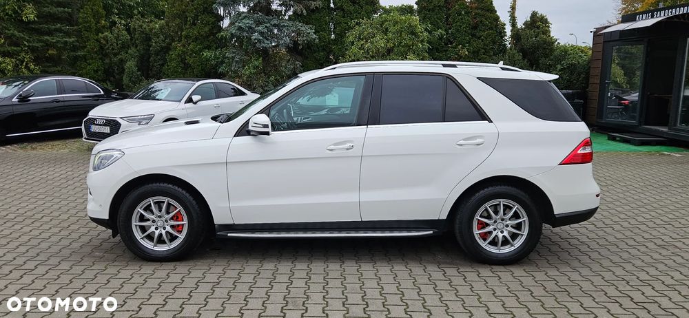 Mercedes-Benz ML 250 BlueTec 4-Matic - 11