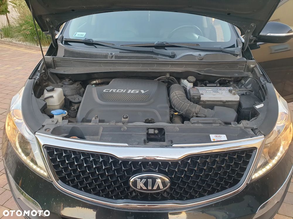Kia Sportage - 15