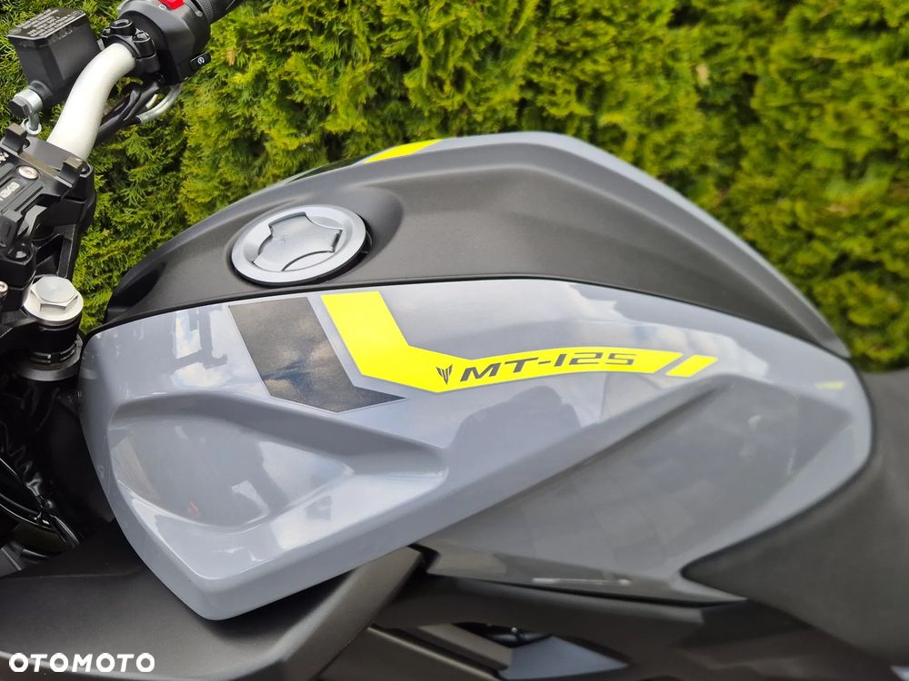 Yamaha MT - 21