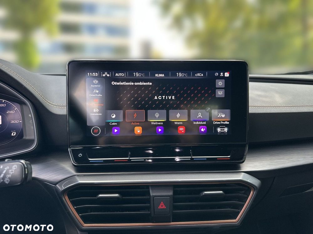 Cupra Formentor 1.5 TSI DSG - 24