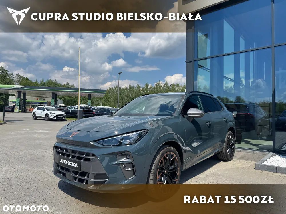 Cupra Terramar - 2