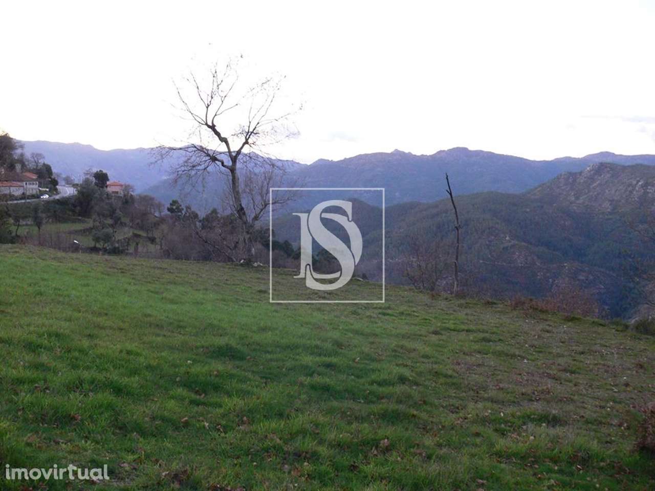 Terreno  Venda em Ventosa e Cova,Vieira do Minho - Grande imagem: 3/9