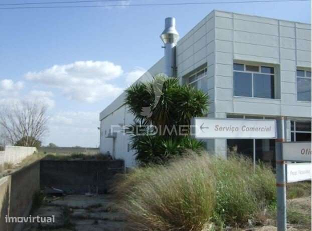 Stand Automóvel e Oficina com 1.080m² em Elvas - Grande imagem: 5/7