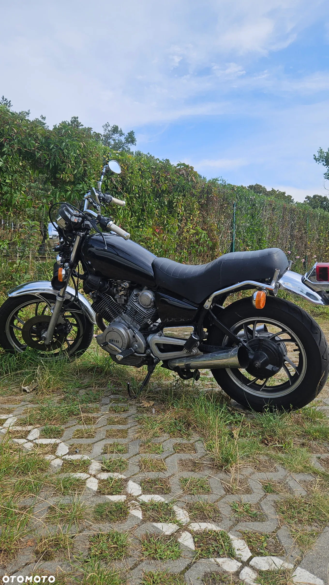 Yamaha Virago - 2