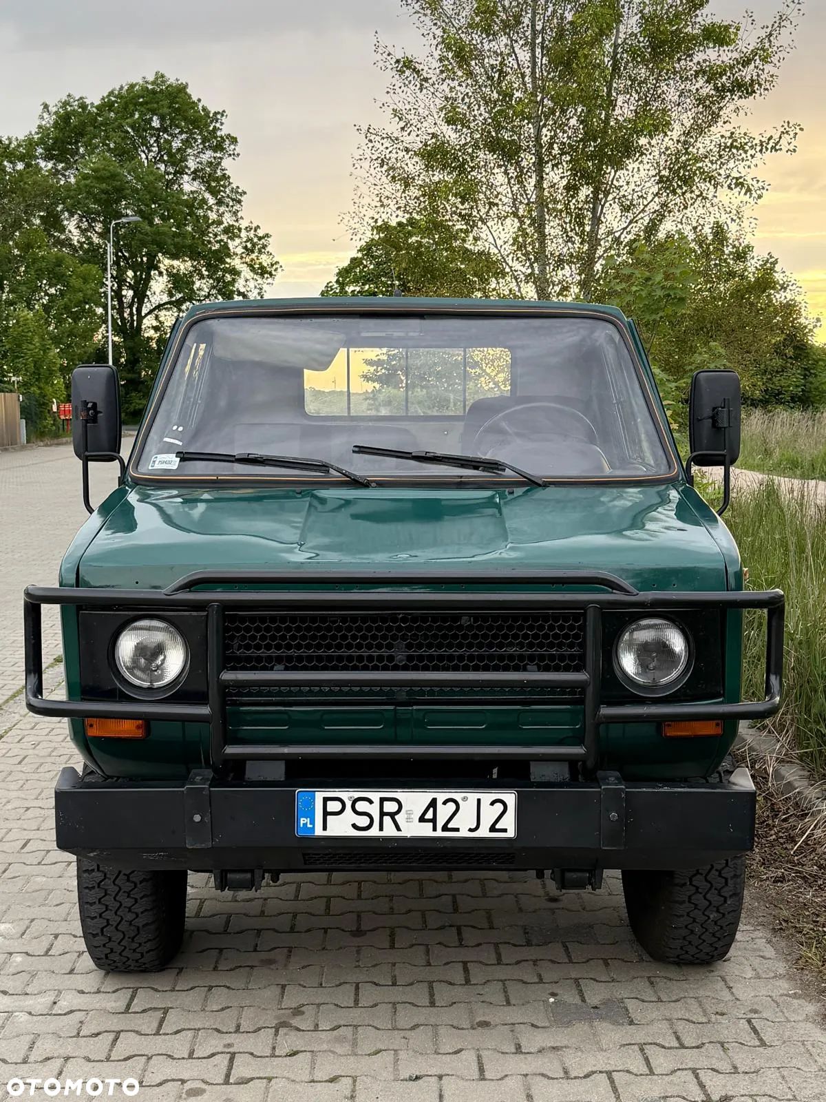 Tarpan Inny - 1
