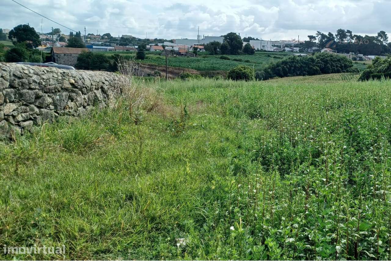 Terreno em Custóias - Grande imagem: 3/10