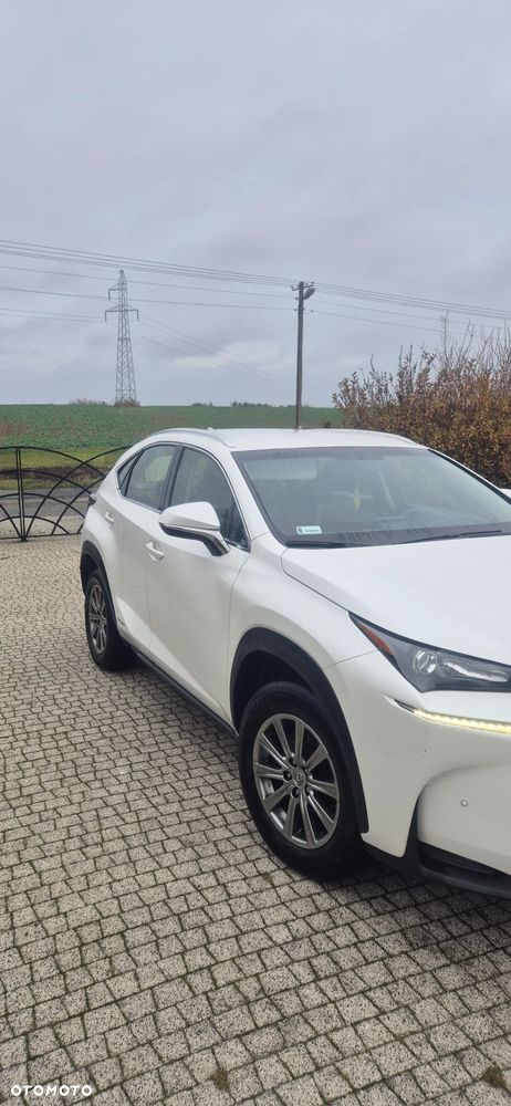 Lexus NX 300h Elite AWD - 9