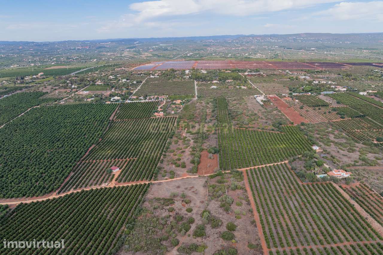 2 Terrenos Rústicos à Venda em Algoz - Grande imagem: 3/12
