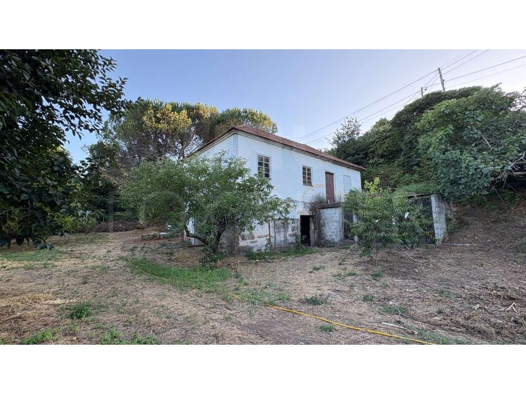 Quinta T3- Gondomil, Valença - Grande imagem: 3/52