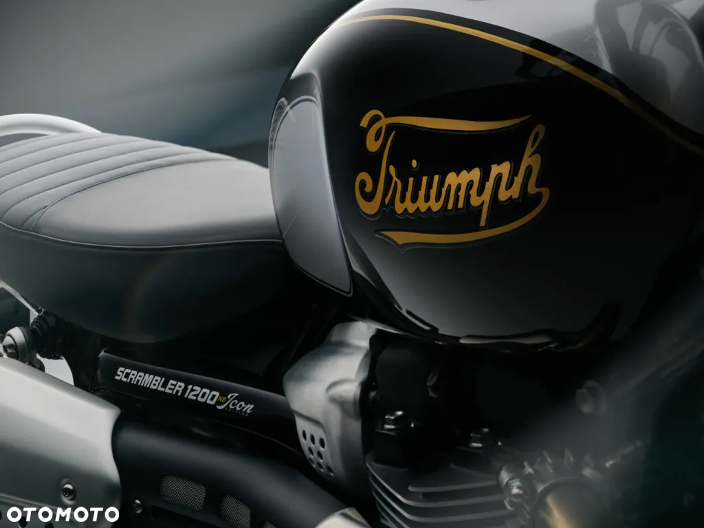 Triumph Scrambler - 14
