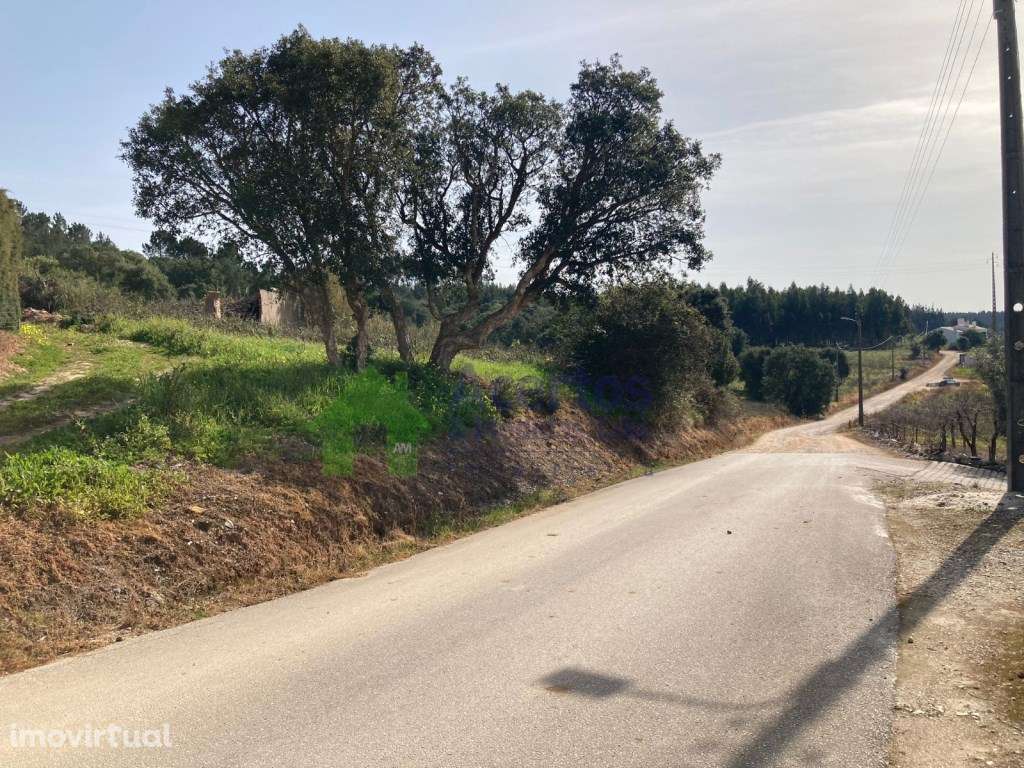 TERRENO - BARREIRA -BOMBARRAL - Grande imagem: 2/8